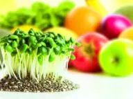 chia seeds activate nrf2