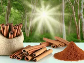 cinnamon for nrf2 activation