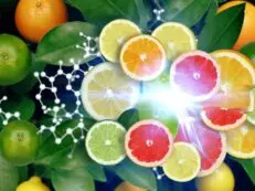 citrus fruits boost nrf2