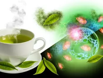 green tea boosts nrf2