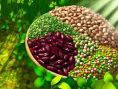 nrf2 boosting legumes for health